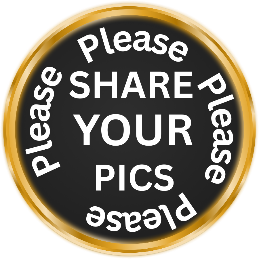 Gift Boxes - Send-a-Treat